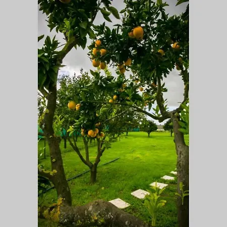 Casa La Rosa - Alojamento Rural بيت للعطل بالميلا